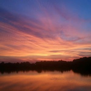 Meet your Posher, Dale